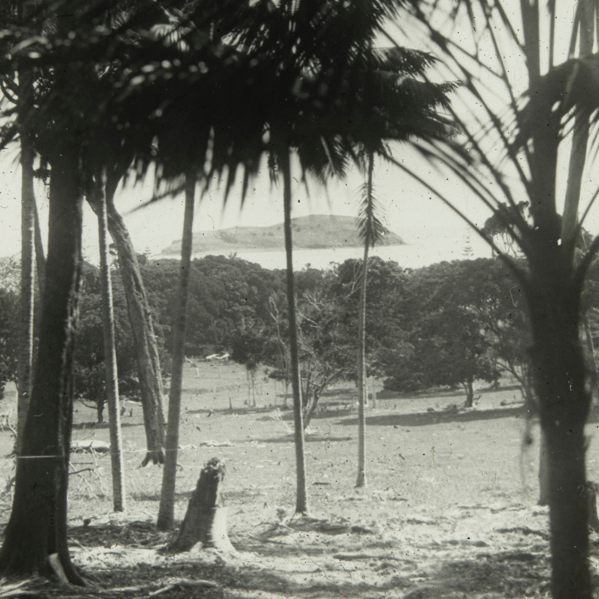 View towards Sugarloaf Island, Lord Howe Island 
