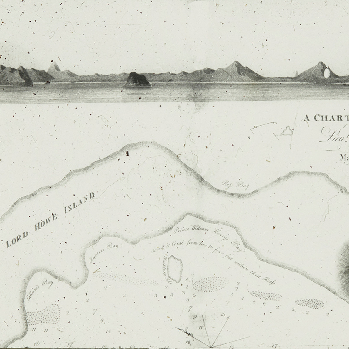 An antique chart of Lord Howe Island