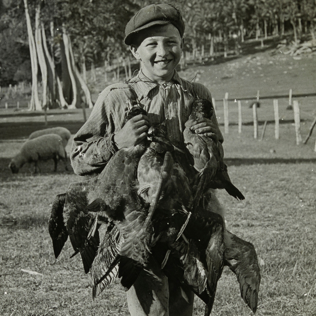 Muttonbirder with catch