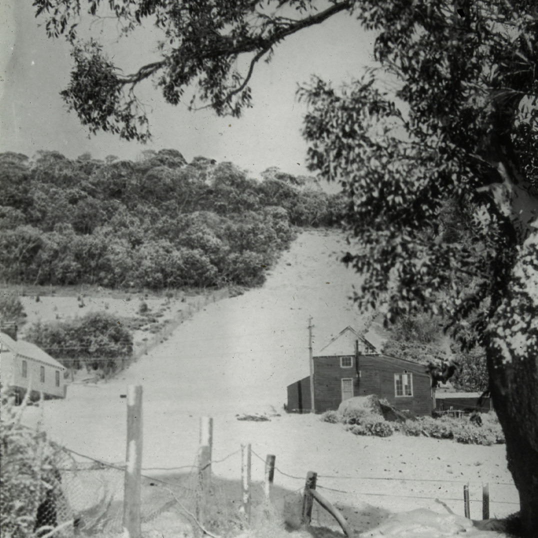 Ski course, Mt Kosciuszko (N.S.W.)