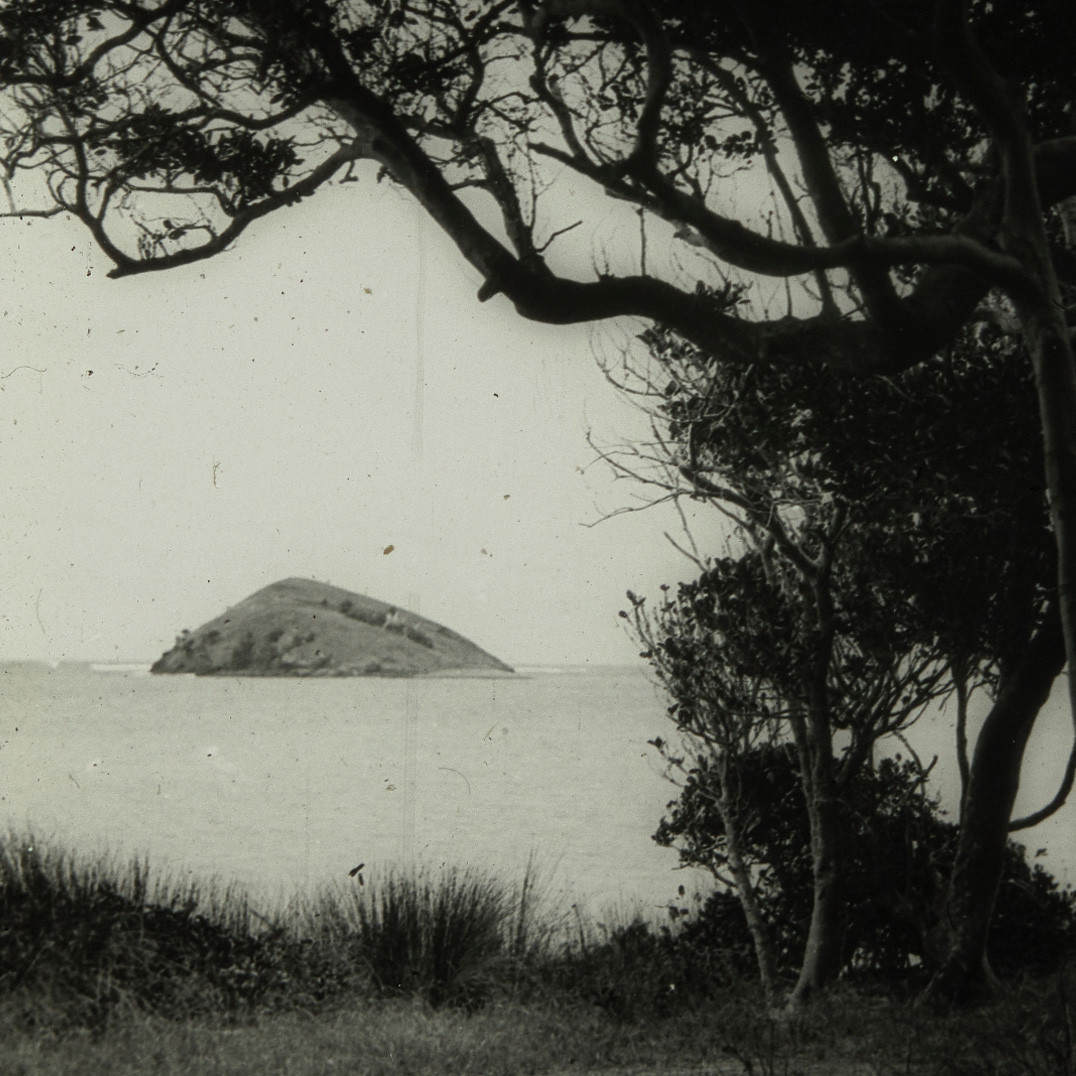 Blackburn Island, Lord Howe Island