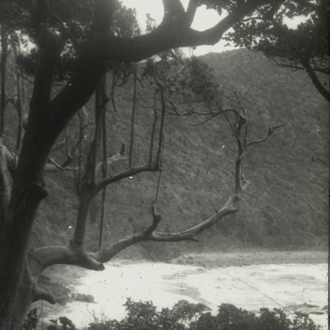 Unidentified small bay, Lord Howe Island