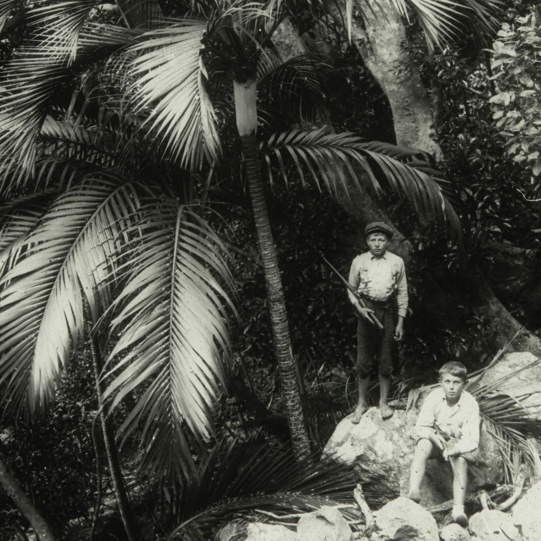 Two children next to Kentia Palm, Lord Howe Island