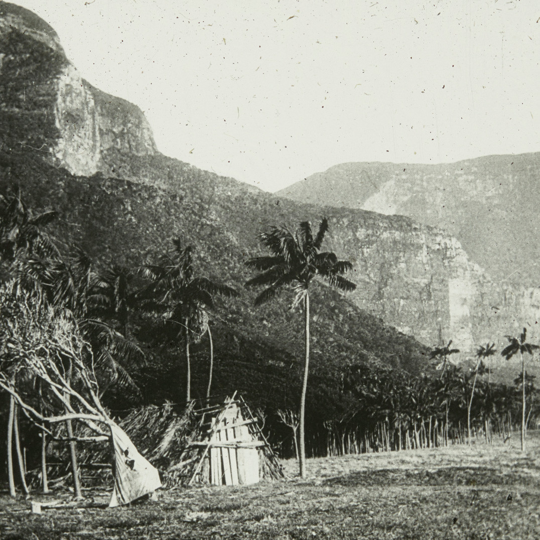 Wooden hut on Kings Beach, Lord Howe Island