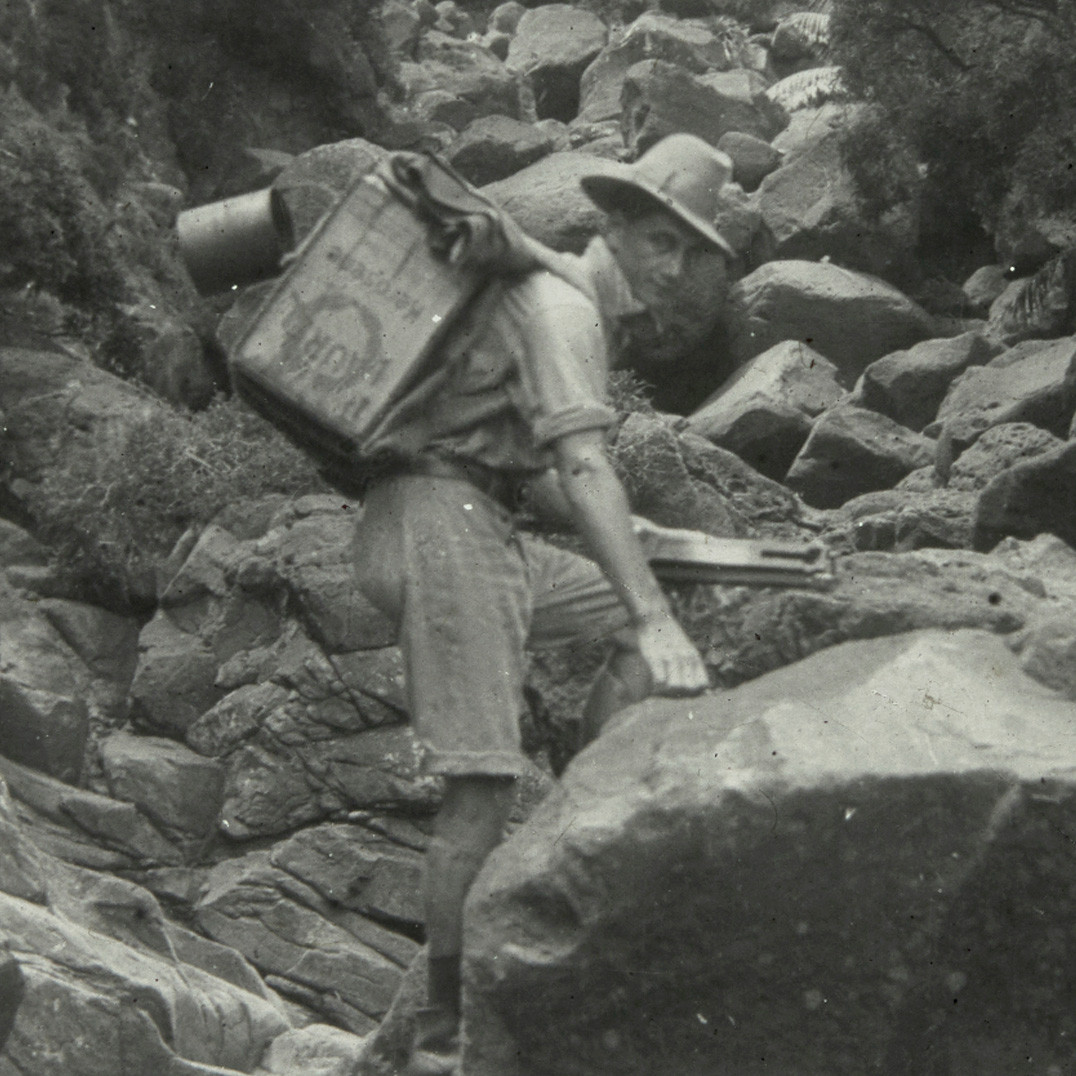 Allan Riverstone McCulloch, Lord Howe Island