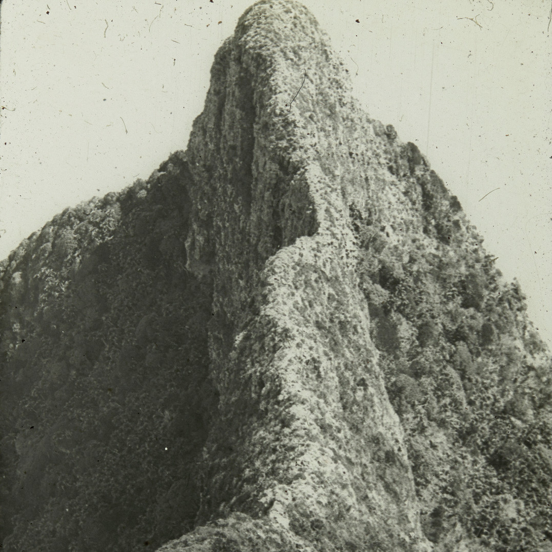 Narrow mountain ridge of the Saddle, Lord Howe Island