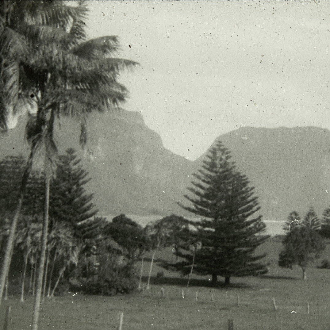 Large pastures with Mt Gower in the background, Lord Howe Island