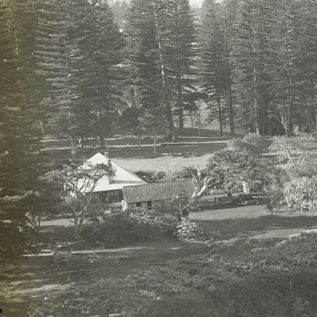 Burnt Pine, Norfolk Island