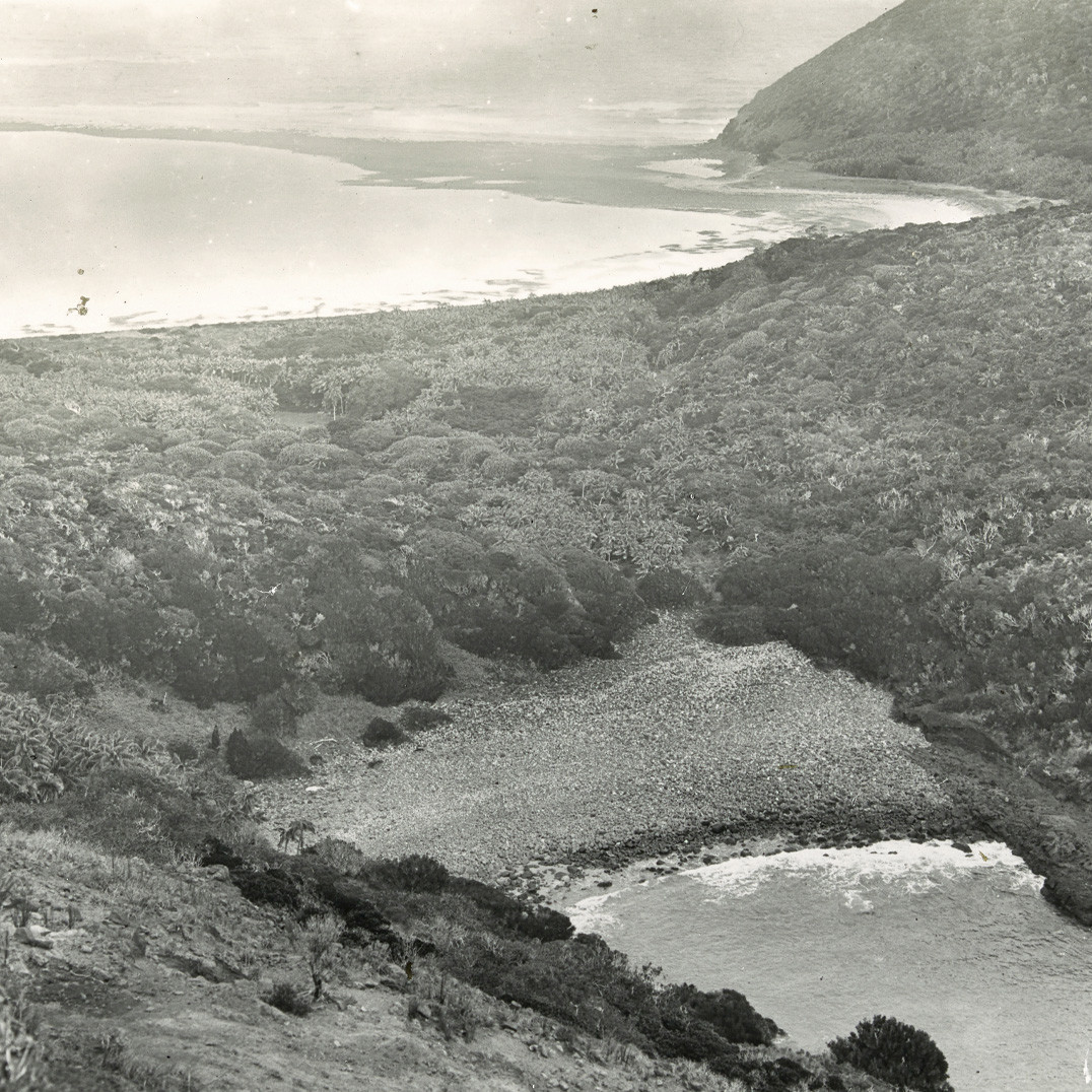 Old Gulch & North Beach, Lord Howe Island