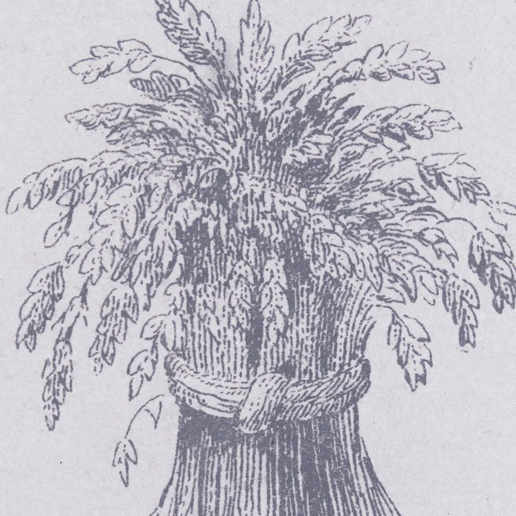 Crest on torse: A garb