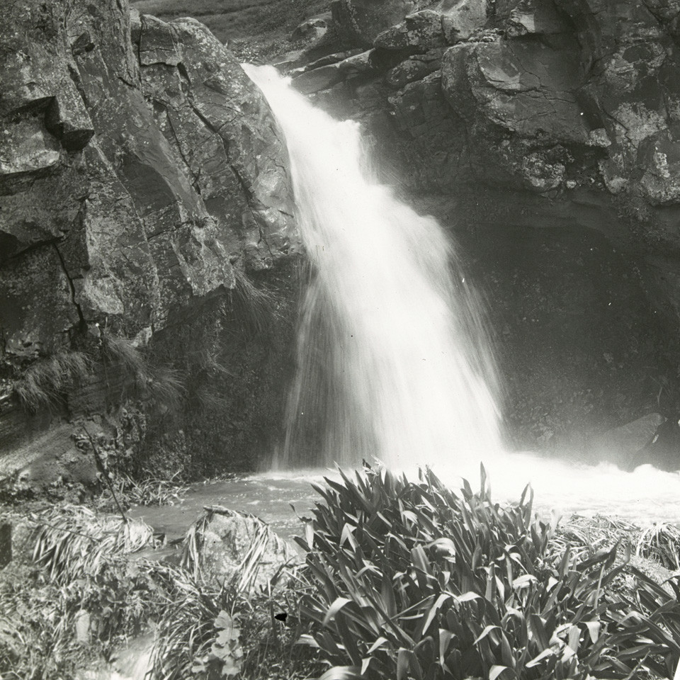 Cockpit Waterfalls, Norfolk Island