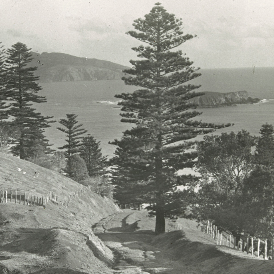 Bloody Bridge Valley Road, Norfolk Island