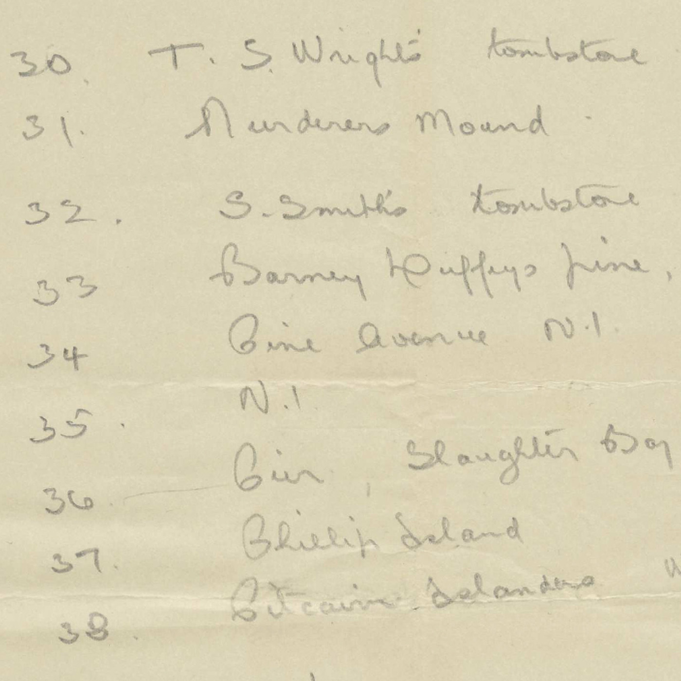 Notes on Berckelman glass plate negatives