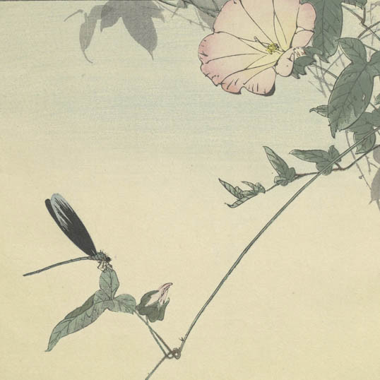 省亭花鳥帖. (Seitei kachōjō)