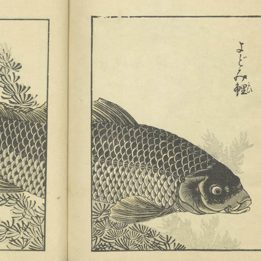 花鳥畫譜 / 橘守国 [画]. (Kachō gafu)