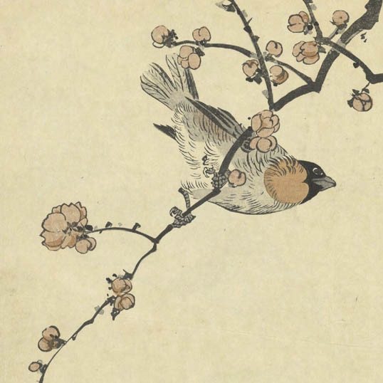 文嶺画譜 / 畫工前川文嶺. (Bunrei gafu) vol. 1