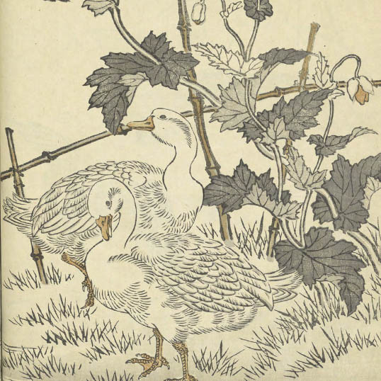 文嶺画譜 / 畫工前川文嶺. (Bunrei gafu) vol. 2