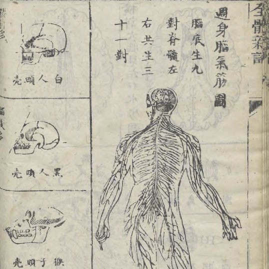 全體新論 / [合信著]. (Quan ti xin lun)