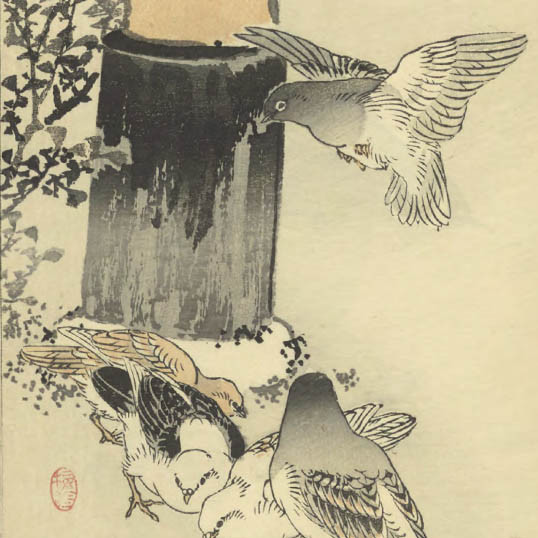 楳嶺百鳥畫譜 / 幸埜楳嶺編畫 (Bairei hyakuchō gafu) vol. 1