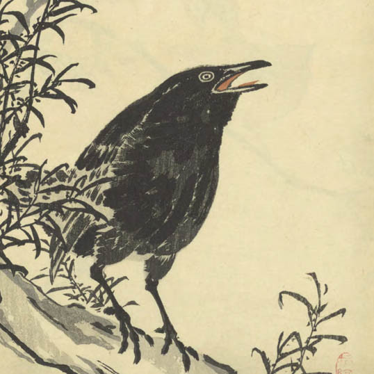 楳嶺百鳥畫譜 / 幸埜楳嶺編畫 (Bairei hyakuchō gafu) vol. 3