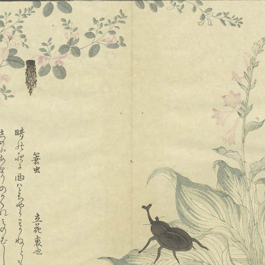 虫類畫譜 / [歌麿筆] (Chūrui gafu)