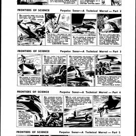 Porpoise sonar - a technical marvel