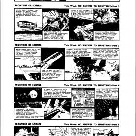 No answer to birdstrike