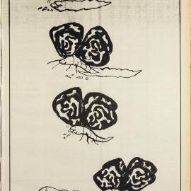 Honi Soit 1972 Issue 22