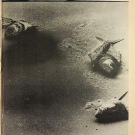 Honi Soit 1979 Issue 05