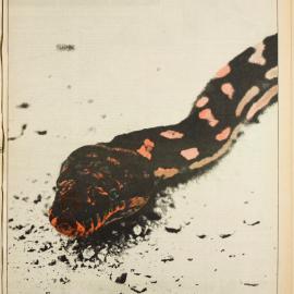 Honi Soit 1979 Issue 09