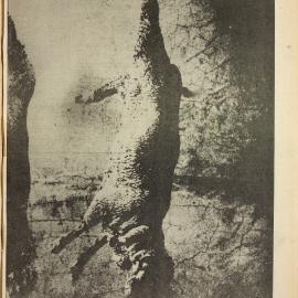 Honi Soit 1979 Issue 12