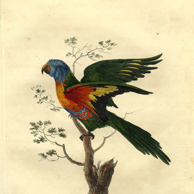 Journal of a voyage to New South Wales 