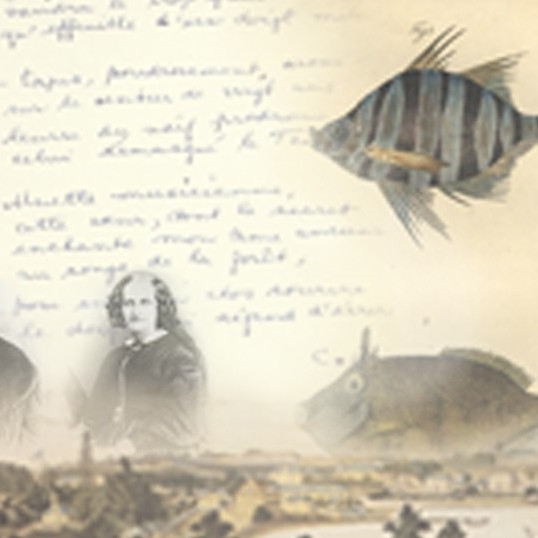 Australian Digital Collections 