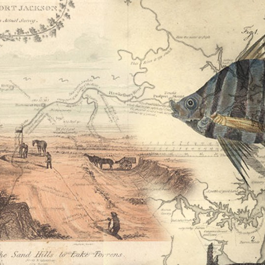 Journals of Inland Exploration 