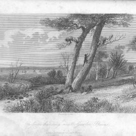 Journals of Expeditions of Discovery into Central Australia: Opossum-hunting at Gawler Plains