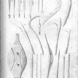 Journals of Expeditions of Discovery into Central Australia: Plate III. Native Weapons