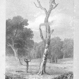 Two Expeditions in the Interior of Southern Australia: The Opossum Hunt