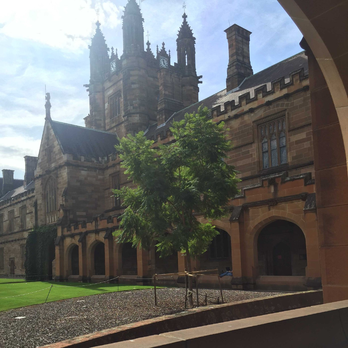Quiet Quad and jacaranda