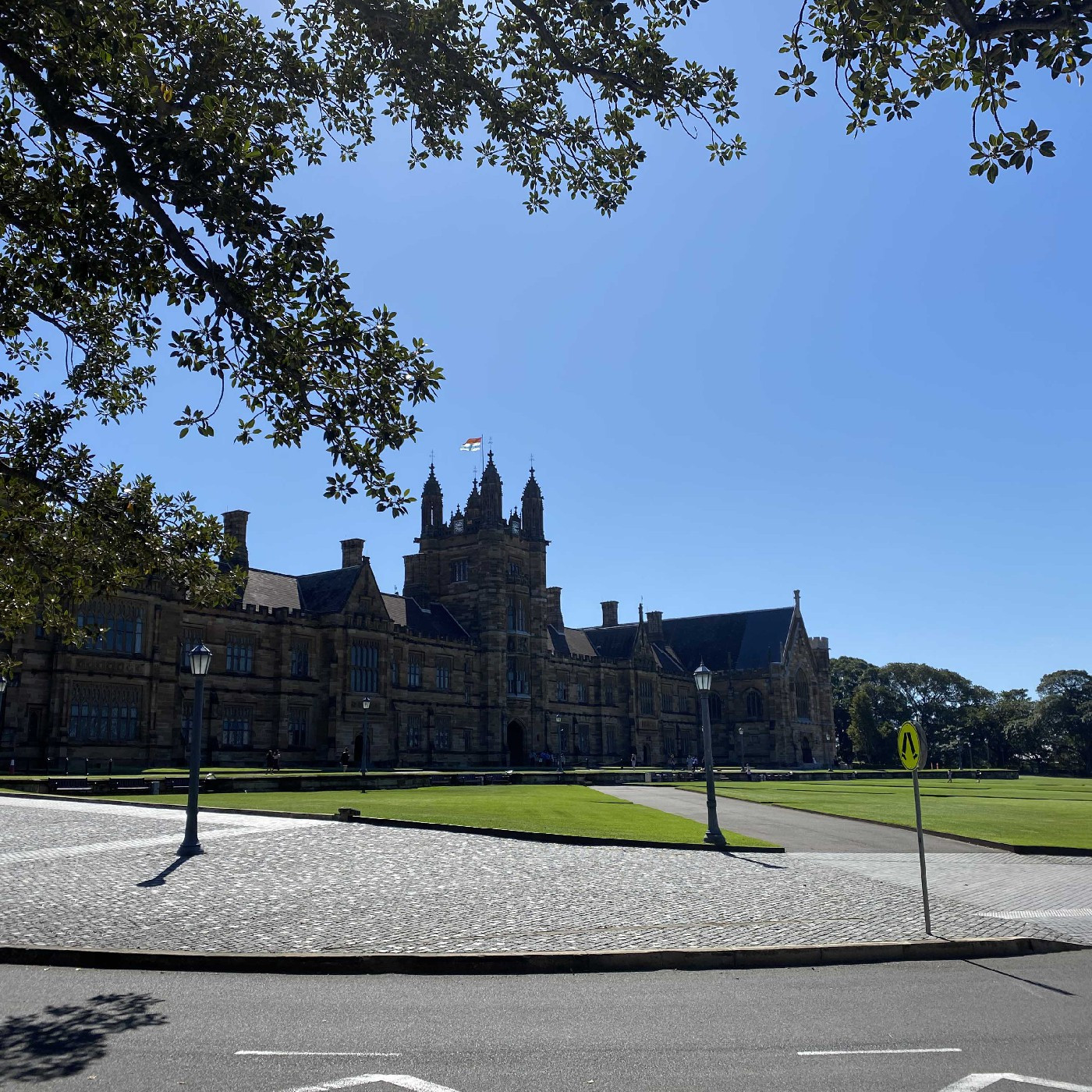 Empty street and lawns in front of the Quad, 20 March 2020