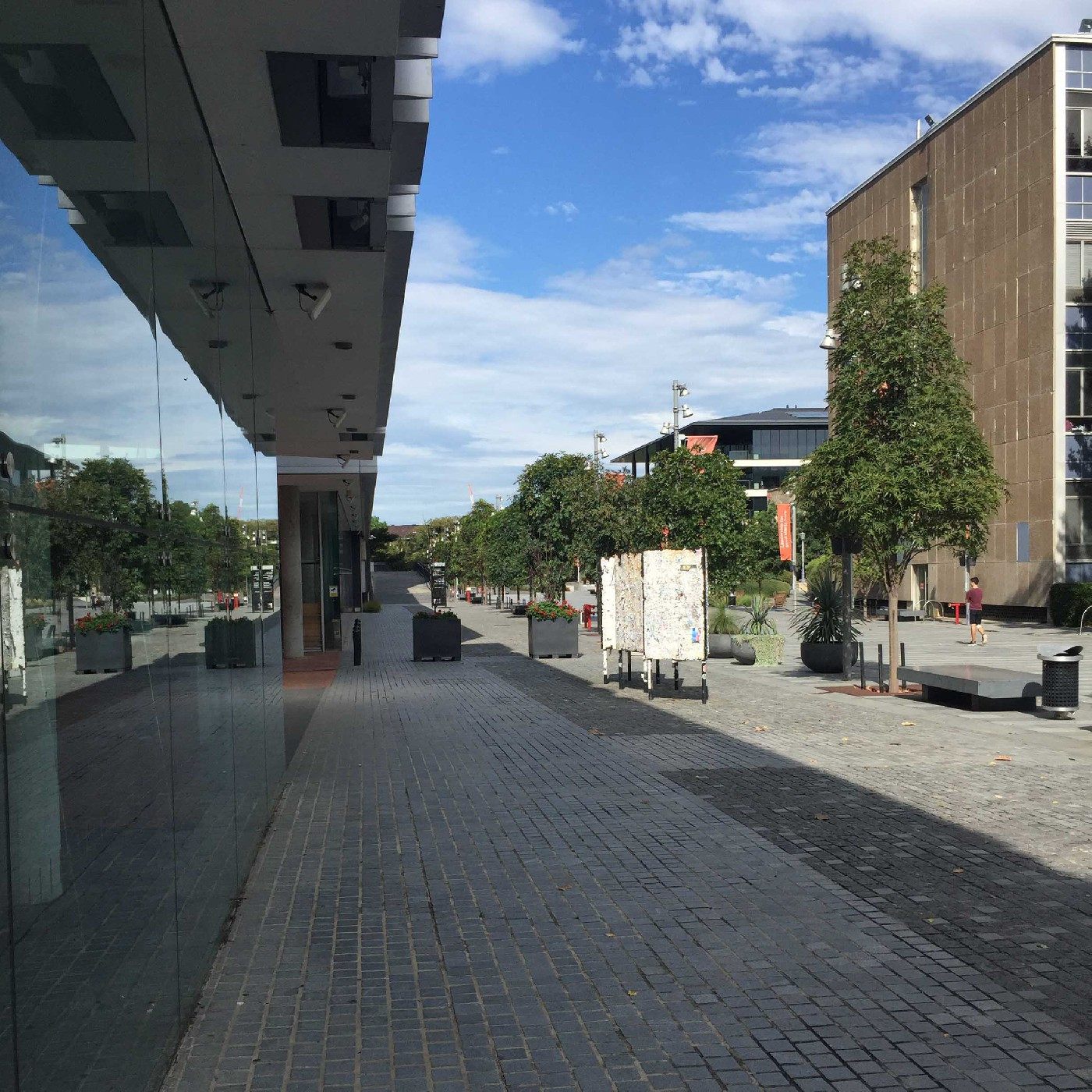 Empty Eastern Avenue outside Law Annexe