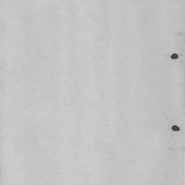 Hunter Region Heritage Survey. Preliminary Identification of Items of Likely Environmental Heritage Significance: Nineteenth Century Buildings.